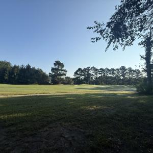 Photo #10 of 359 Cedar Grove Church Rd, Johnsonville, SC 0.5 acres