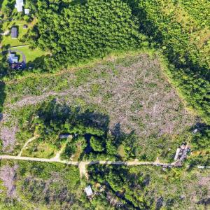 Photo #13 of 2106 Mineral Springs Rd., Conway, SC 13.4 acres
