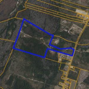 Photo #1 of TBD Nichols Hwy., Nichols, SC 98.8 acres