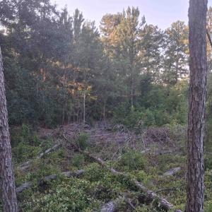 Photo #1 of Lot 12-D McGregor Circle, Lake City, SC 0.2 acres