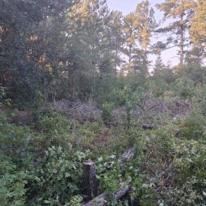 Photo #1 of Lot 11-D McGregor Circle, Lake City, SC 0.2 acres
