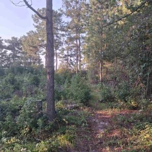 Photo #1 of Lot 10-D McGregor Circle, Lake City, SC 0.2 acres