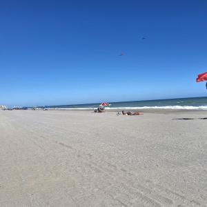 Photo #40 of tbd 29th Ave. S, Atlantic Beach, SC 0.2 acres