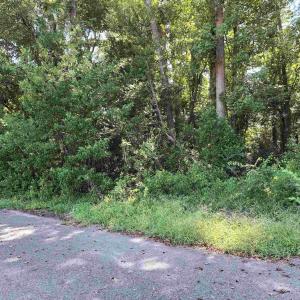 Photo #12 of tbd 29th Ave. S, Atlantic Beach, SC 0.2 acres