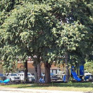 Photo #21 of tbd 29th Ave. S, Atlantic Beach, SC 0.2 acres