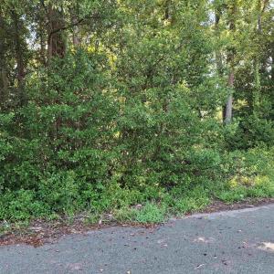 Photo #13 of tbd 29th Ave. S, Atlantic Beach, SC 0.2 acres
