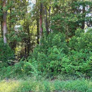 Photo #11 of tbd 29th Ave. S, Atlantic Beach, SC 0.2 acres