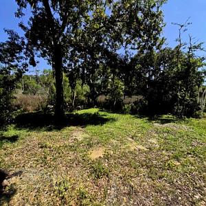 Photo #3 of tbd Watson Way, Pawleys Island, SC 0.2 acres