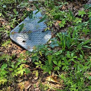 Photo #7 of tbd Watson Way, Pawleys Island, SC 0.2 acres