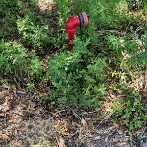 Photo #6 of tbd Watson Way, Pawleys Island, SC 0.2 acres