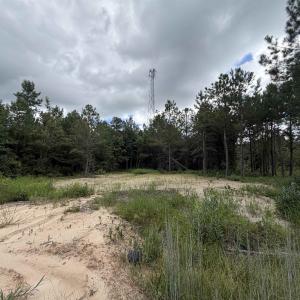 Photo #2 of 1.25 Acres - N Fraser St., Georgetown, SC 1.3 acres