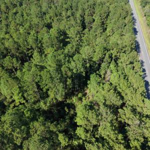 Photo #4 of 1.25 Acres - N Fraser St., Georgetown, SC 1.3 acres