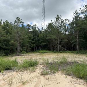 Photo #3 of 1.25 Acres - N Fraser St., Georgetown, SC 1.3 acres