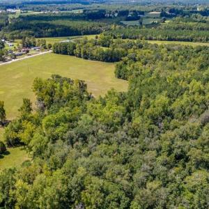 Photo #7 of 35+ Acs Kerl Rd., Conway, SC 35.0 acres
