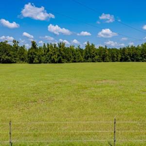 Photo #1 of 35+ Acs Kerl Rd., Conway, SC 35.0 acres