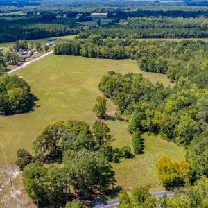 Photo #6 of 35+ Acs Kerl Rd., Conway, SC 35.0 acres