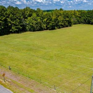 Photo #12 of 35+ Acs Kerl Rd., Conway, SC 35.0 acres