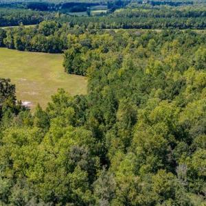 Photo #8 of 35+ Acs Kerl Rd., Conway, SC 35.0 acres