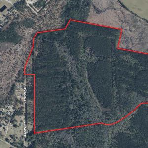 Photo #1 of 185 Legion St., Dillon, SC 135.0 acres