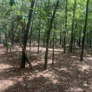 Photo #28 of 185 Legion St., Dillon, SC 135.0 acres