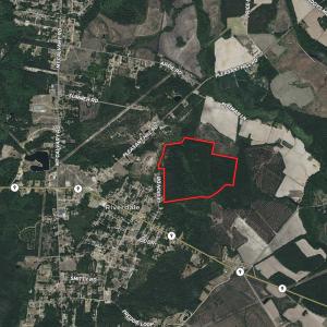 Photo #4 of 185 Legion St., Dillon, SC 135.0 acres