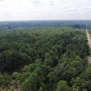 Photo #33 of 185 Legion St., Dillon, SC 135.0 acres