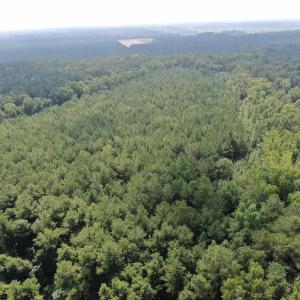 Photo #32 of 185 Legion St., Dillon, SC 135.0 acres