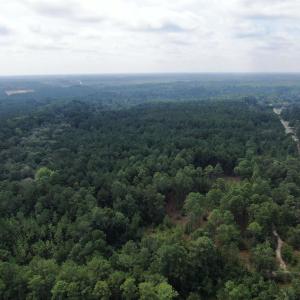 Photo #30 of 185 Legion St., Dillon, SC 135.0 acres