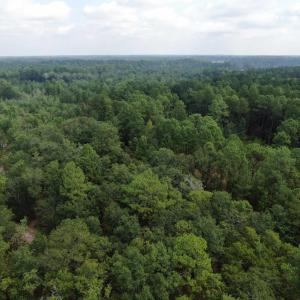 Photo #29 of 185 Legion St., Dillon, SC 135.0 acres