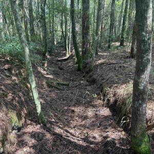 Photo #15 of 185 Legion St., Dillon, SC 135.0 acres