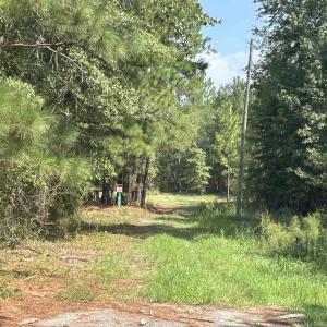 Photo #5 of 185 Legion St., Dillon, SC 135.0 acres