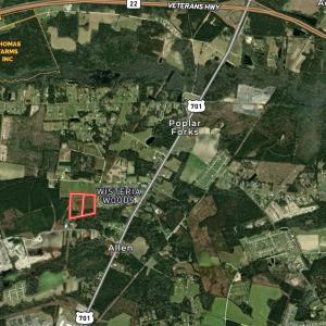 Photo #5 of Lot 7&8 Allentown Dr., Conway, SC 15.8 acres