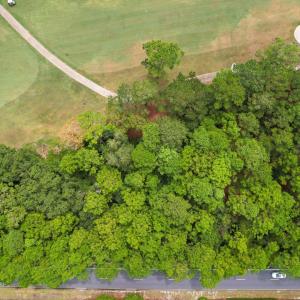 Photo #15 of 22 Vintage Ct., Pawleys Island, SC 0.9 acres