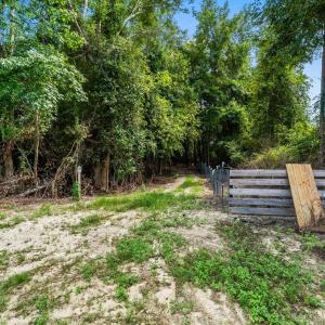 Photo #12 of 901 South Branch Rd., Loris, SC 3.6 acres