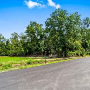 Photo #8 of 901 South Branch Rd., Loris, SC 3.6 acres