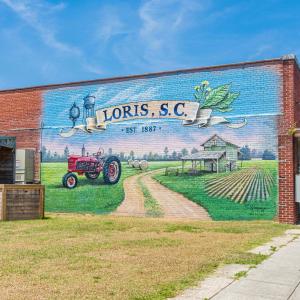 Photo #27 of 901 South Branch Rd., Loris, SC 3.6 acres