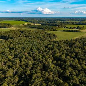 Photo #6 of TBD Peach Orchard Rd., Rembert, SC 6.0 acres