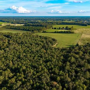 Photo #7 of TBD Peach Orchard Rd., Rembert, SC 6.0 acres