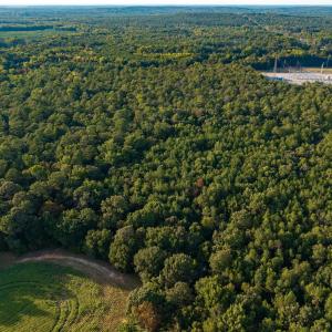Photo #9 of TBD Peach Orchard Rd., Rembert, SC 6.0 acres