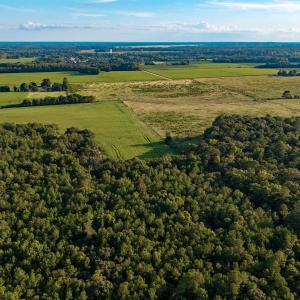 Photo #12 of TBD Peach Orchard Rd., Rembert, SC 6.0 acres