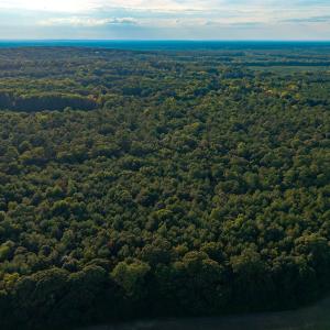Photo #2 of TBD Peach Orchard Rd., Rembert, SC 6.0 acres