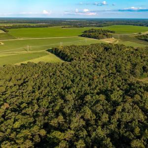 Photo #3 of TBD Peach Orchard Rd., Rembert, SC 6.0 acres