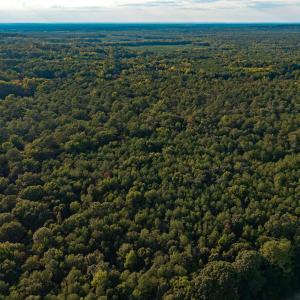 Photo #11 of TBD Peach Orchard Rd., Rembert, SC 6.0 acres