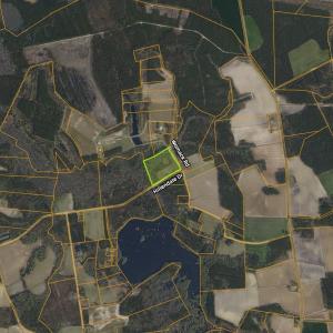 Photo #4 of TBD Womack Rd., Nichols, SC 10.4 acres