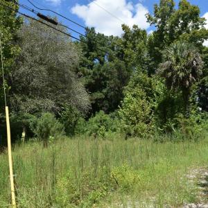 Photo #1 of 1806 New Rd., Conway, SC 0.7 acres