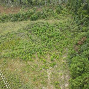 Photo #6 of TBD Mosdell Dr., Conway, SC 10.2 acres