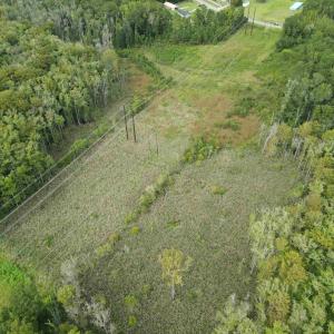 Photo #4 of TBD Mosdell Dr., Conway, SC 10.2 acres