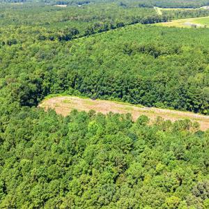 Photo #5 of TBD Myrtle West Dr., Loris, SC 22.0 acres