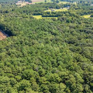 Photo #9 of TBD Myrtle West Dr., Loris, SC 22.0 acres