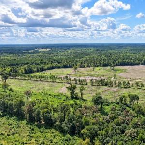 Photo #3 of Old Forreston Rd., Greeleyville, SC 237.0 acres